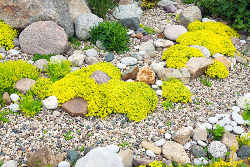 decorative rock garden